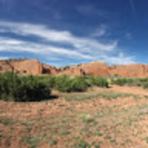 Meet your Posher, Jonathon